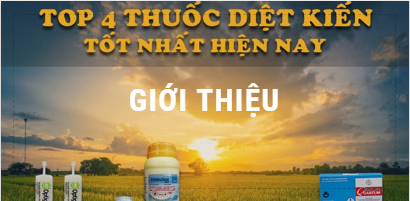 Thuốc Diệt Mối Pap Tphcm 4