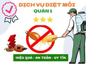 Diet Moi Quan 1